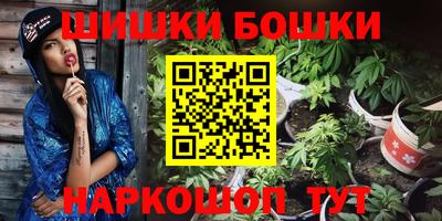 a pvp Бердск