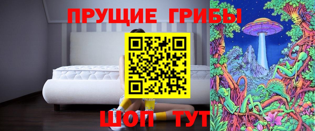 Псилоцибиновые грибы Cubensis Ефремов